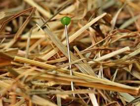 国产嫩草视频:澜沧古茶，历史的沉淀与文化的传承