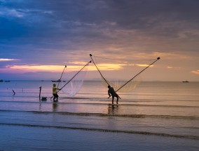 低价保险旅游团扎堆越南——旅游市场新现象分析