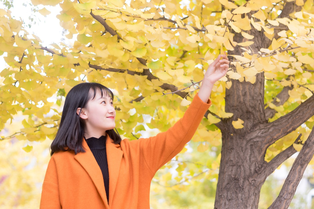 晓雯音乐学校，一所音乐教育的摇篮 晓雯音乐学校在哪里